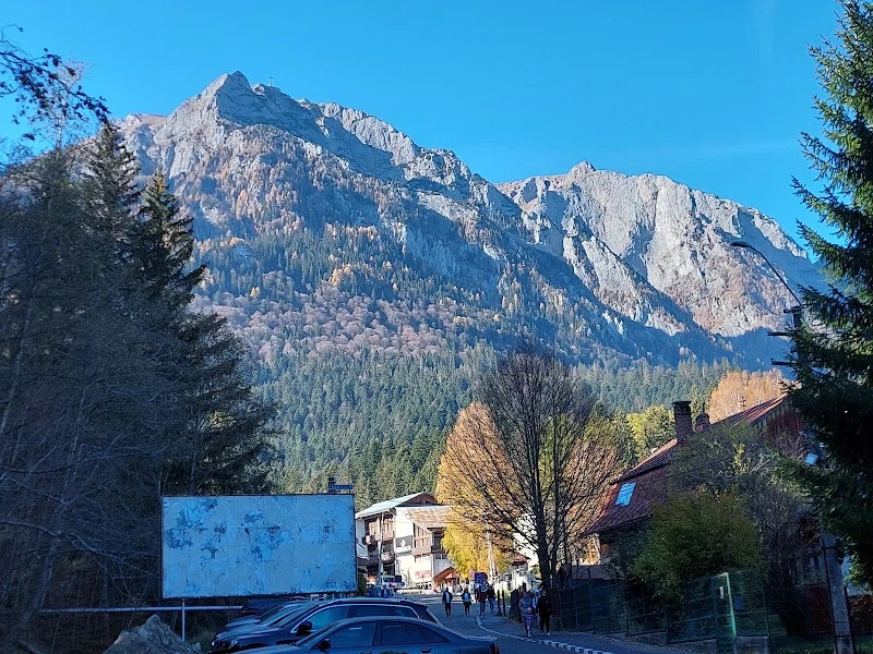 Bușteni