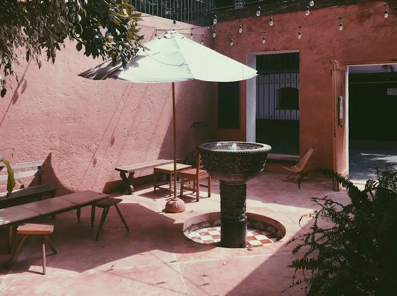 Coyoacán: Frida, food, and slow streets