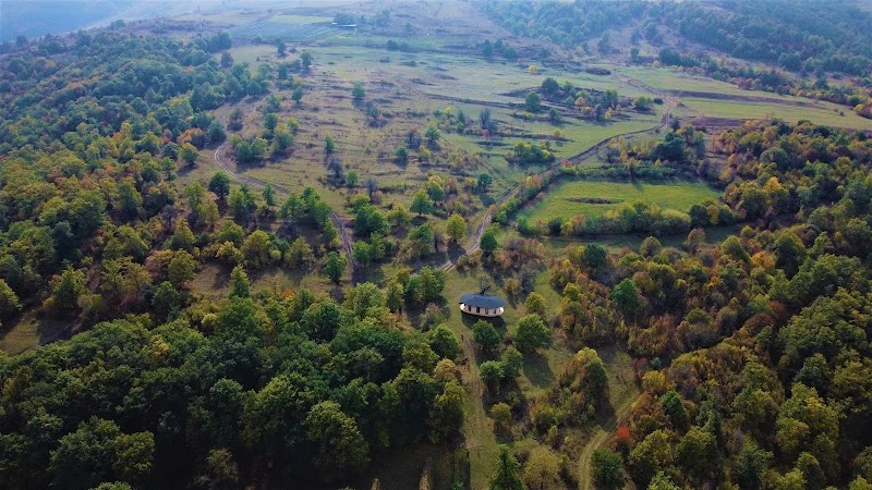 Nature Cabin