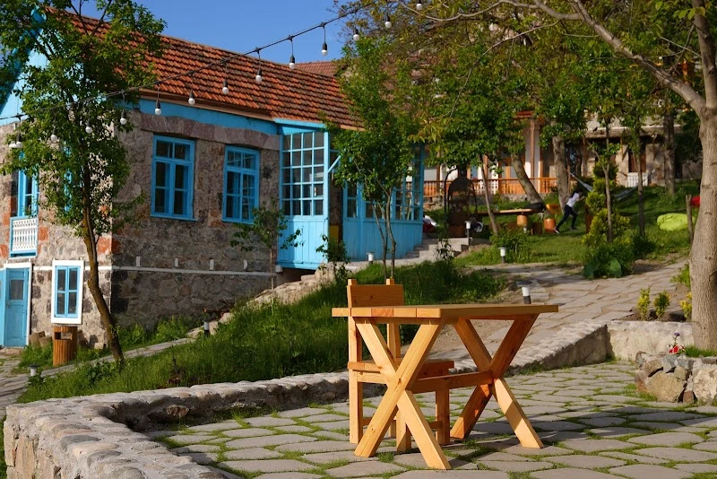 Toon Armeni Little Village