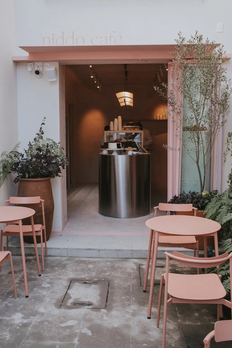 Niddo polanco